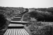 The Wooden Path | Sylt [6]